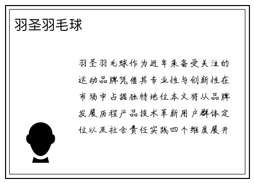 羽圣羽毛球